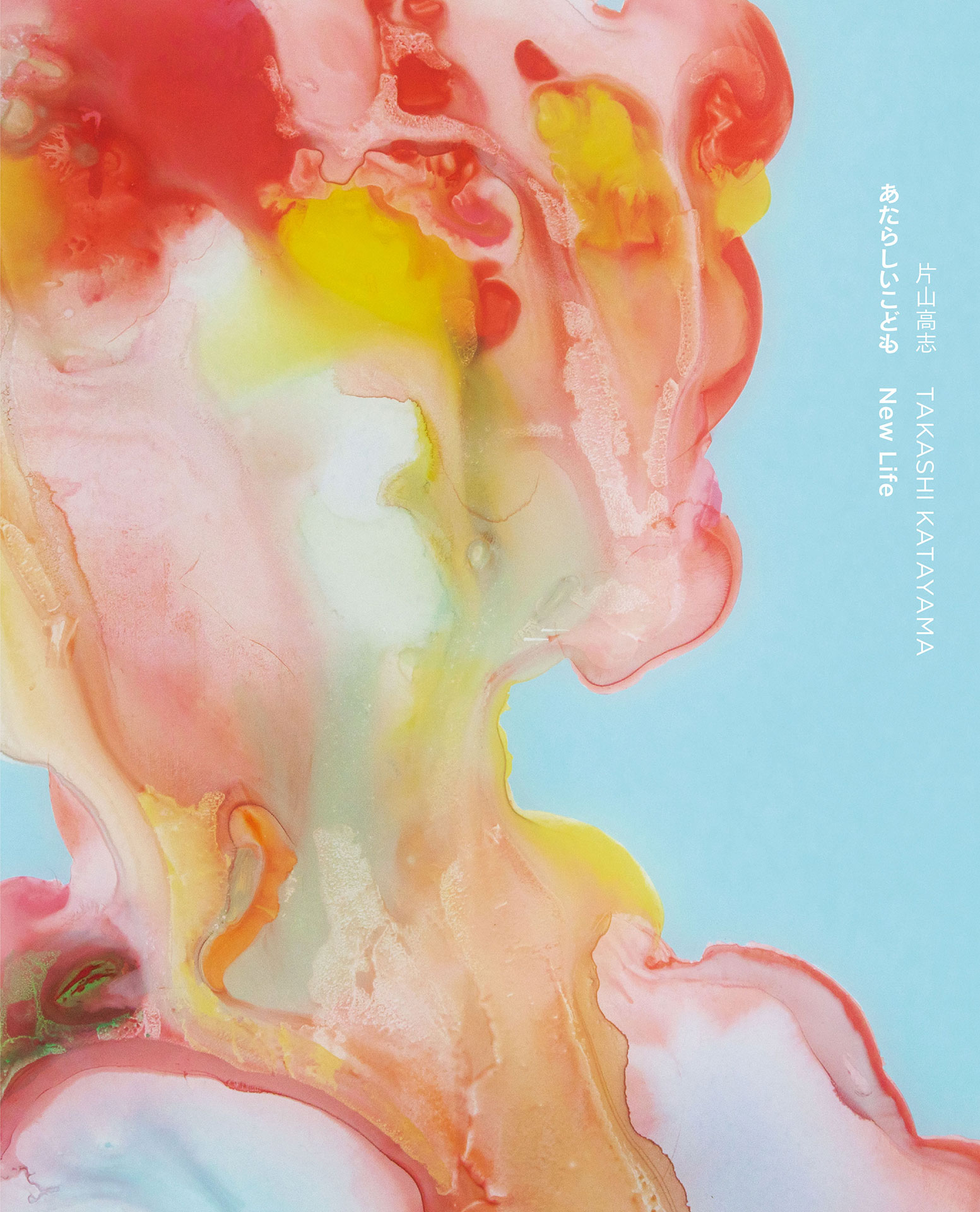 片山高志「何かの何かだと思ったら、何の何でもなかった」 TAKASHI KATAYAMA “WHAT I THOUGHT WAS PART OF SOMETHING BIGGER WAS ACTUALLY NOTHING” - 奈義町現代美術館