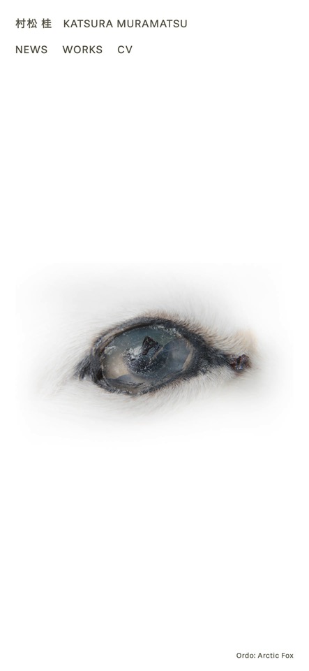 村松桂 Katsura Muramatsu