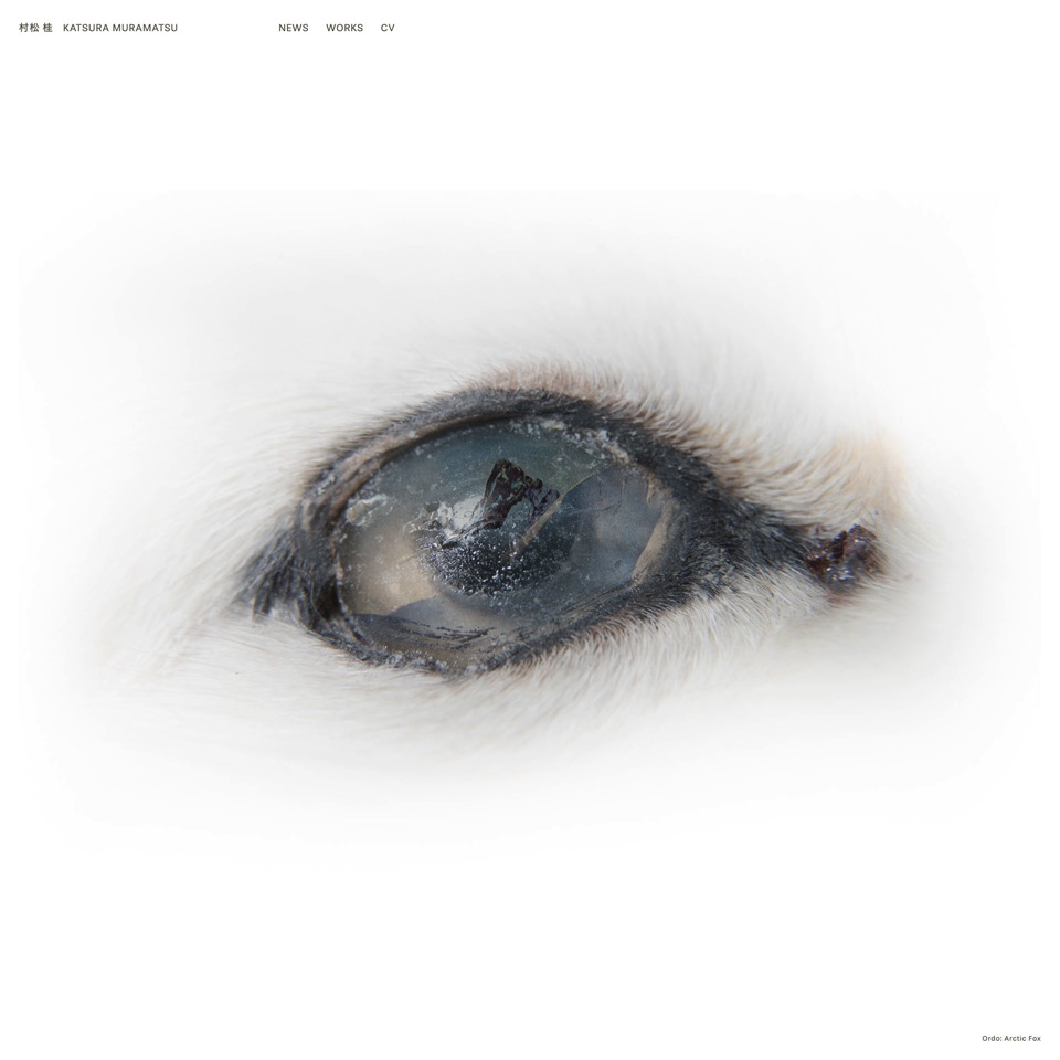 村松桂 Katsura Muramatsu