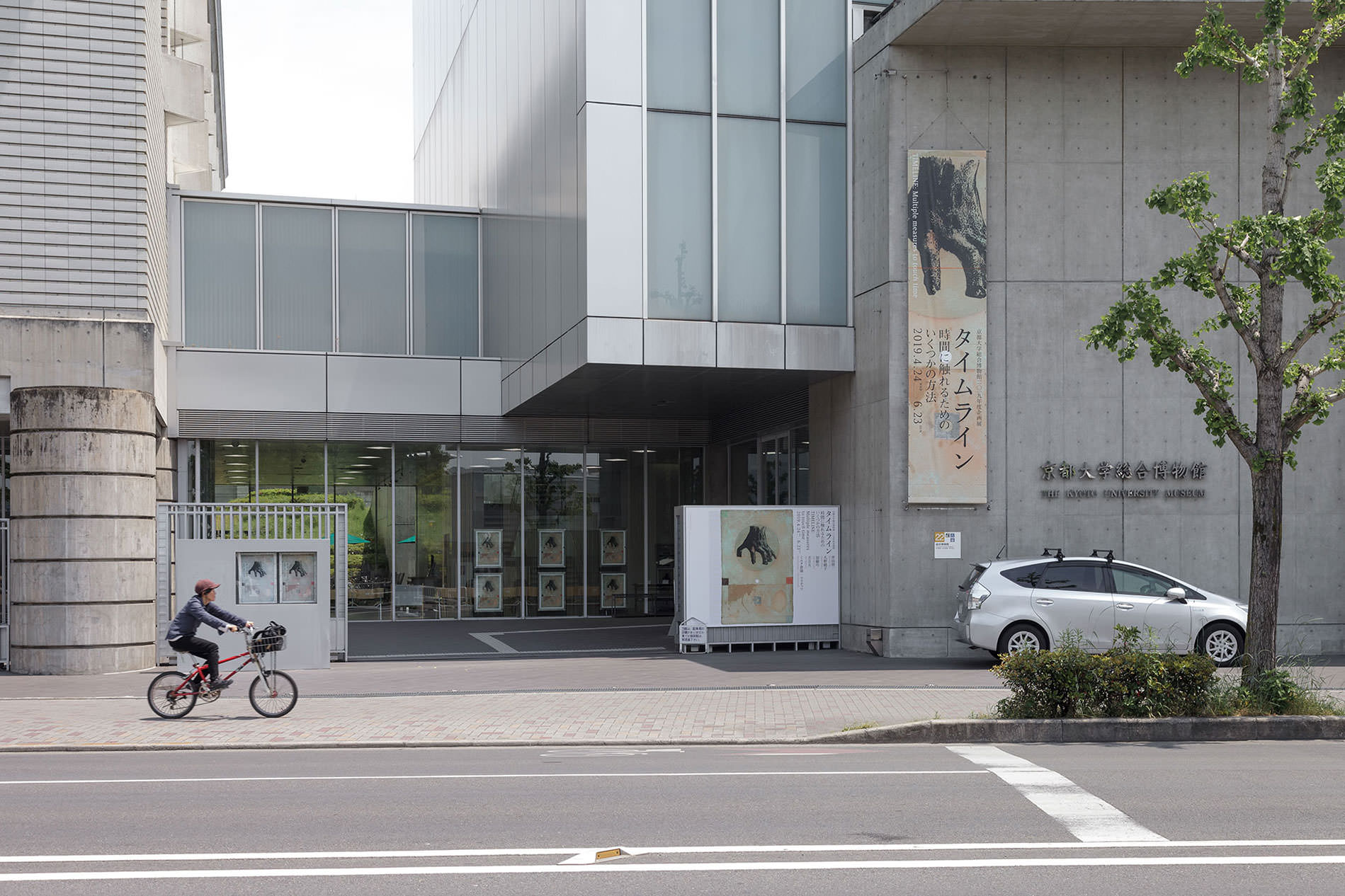 タイムライン—時間に触れるためのいくつかの方法 TIMELINE: Multiple measures to touch time - 京都大学総合博物館